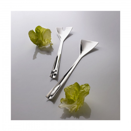 2-pieces Salad Set in Gift-box - colour Steel - finish Shining