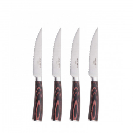 4-pieces steak knives with serrated blade Set in Gift box. - colour Steel - finish Glazed